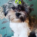 Lucille Condon - @meredithlucille20 - Instagram