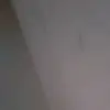urmom.com - @lucilleodom - TikTok