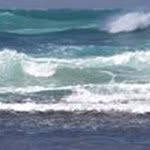 Lucille O'Neill - @lucilleoneill2606 - Instagram