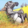 lucillesimpson - @zexzyzebra - TikTok