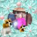 Lucille Singer - Facebook