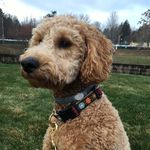 Lucille Sullivan - @lucillegoestothebeach - Instagram