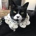 Cindy Lucille Trimble - Facebook