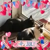 lucillevickers904 - @lucillevickers904 - TikTok