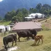 Lucilo Martinez Gomez - @lucilo.martinez.g - TikTok