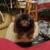 Lucinda Carson - Facebook