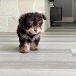 @lucinda.lucy.light - Instagram