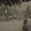 lucindaschultz0 - @lmslps - TikTok