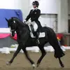 Lucinda Webb - @lucinda.webb5 - TikTok