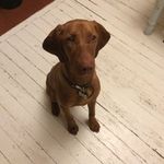 Lucinda Webber - @webberlucinda - Instagram