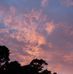 Lucinda Yoder - Facebook
