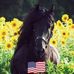 Lucinda Yoder - Facebook
