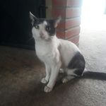 Lucio Camacho - @lucio.camacho.5055 - Instagram