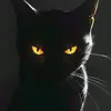 Lucio camacho - @lucio.camacho0 - TikTok