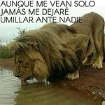 Lucio Camacho - @luciocamacho6 - Instagram