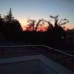 Lucio Camacho Palladino - @lucpalladino - Instagram