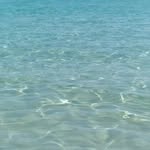 Lucio Palmieri - @lucio.palmieri.37 - Instagram