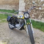 Lucio Palmieri - @palmi_erilucio - Instagram