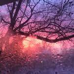 Lucio Palmieri - @lupalm4ever - Instagram