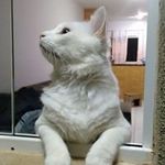 Lucio Prado - @lucio.prado.54 - Instagram