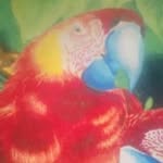 Lucio Robles - @roblesl753 - Instagram