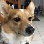 Hunter Lucius - @hunterlucius685 - Instagram