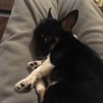 Luiuwu - @luciushunter1 - Instagram