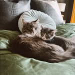 Lucius Bean & Zigmund Jones - @lu_n_ziggy - Instagram
