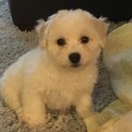 Lucky - @lucky__moore - Instagram