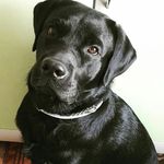 Lucky_Wells - @lucky_wells15 - Instagram