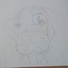 luckywells4dogslove14202111415 - @luckywells4 - TikTok