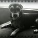 Lucky Luciano Wilson - Facebook