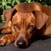 Lucky Singh Wilson - Facebook