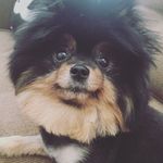 Lucky Wilson - @_lucky_wilson_ - Instagram