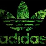 Lucus_Jackson - @thataussiebloke5 - Instagram