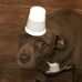 Lucus Jackson - Facebook