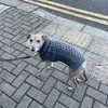 Lucy Ager866 - @lucyager1 - TikTok