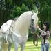 Lucy Aguiar - Facebook