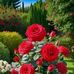 Lucy Alonzo - Facebook