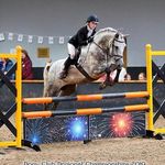 Lucy Armstrong🏴󠁧󠁢󠁳󠁣󠁴󠁿 - @lucyarmstrong.eventing - Instagram