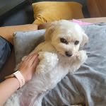 Lucy Avery - @lucyavery2304 - Instagram