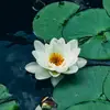 lucyavery417 - @lucyavery417 - TikTok