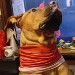 Lucy Bailey - Facebook