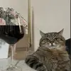 Lucy Bailey - @lucy.r.b2 - TikTok