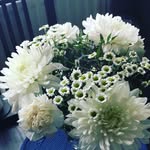Lucy baines - @lucyyyyy67 - Instagram