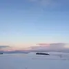 lucy_baines - @lucy_baines - TikTok