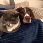 Lucy Barnard - @lucyloulou71 - Instagram