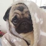 Lucy Baum - @lucy_baum2007 - Instagram