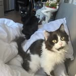 Lucy and Beard - @lucyb.eard - Instagram