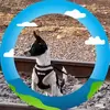 Lucy Becerril - @lucy.becerril2 - TikTok